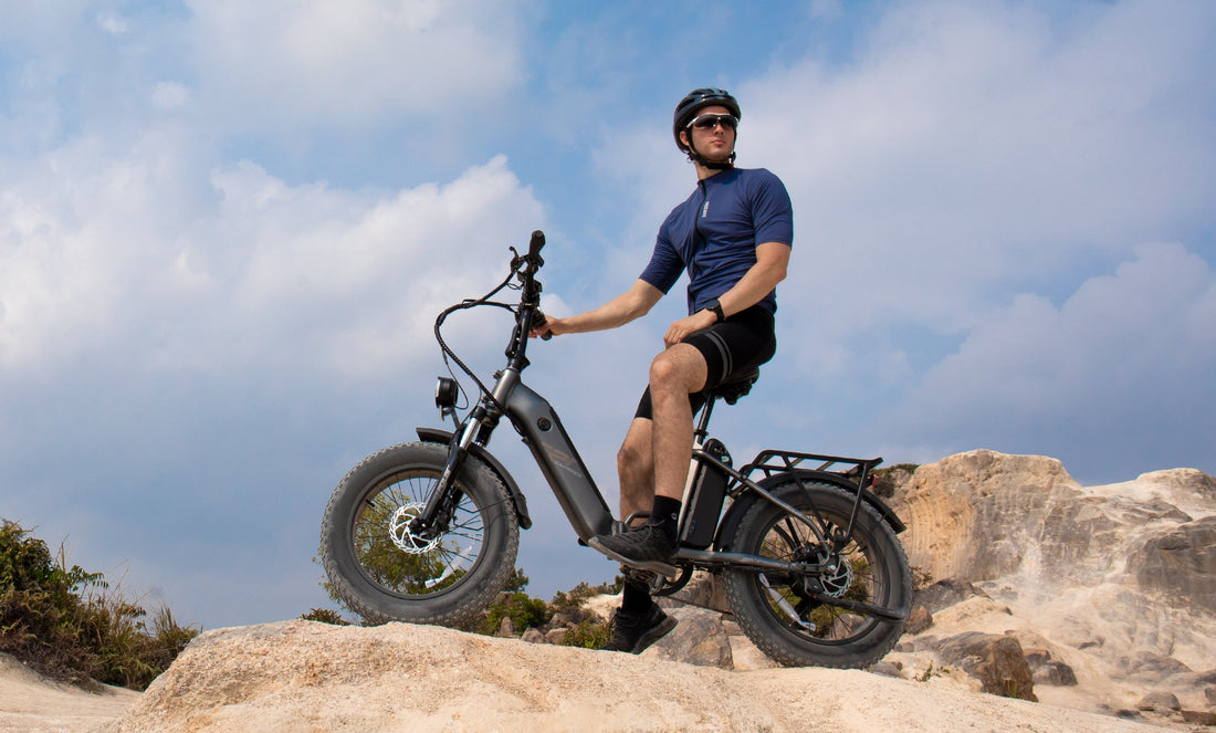 immagine dell'equitazione FF20 Polar