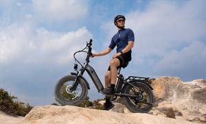 immagine dell'equitazione FF20 Polar