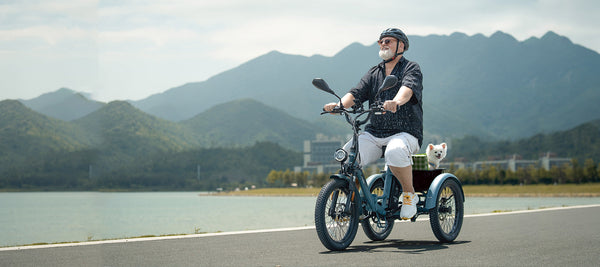E-Bikes a 3 ruote: Vale la pena in Europa per il 2025?