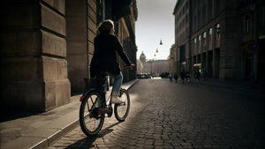 Comprendere la certificazione L1e-B e la guida alla guida dell'UE (2025)