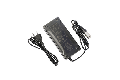 Caricabatterie per Ebike