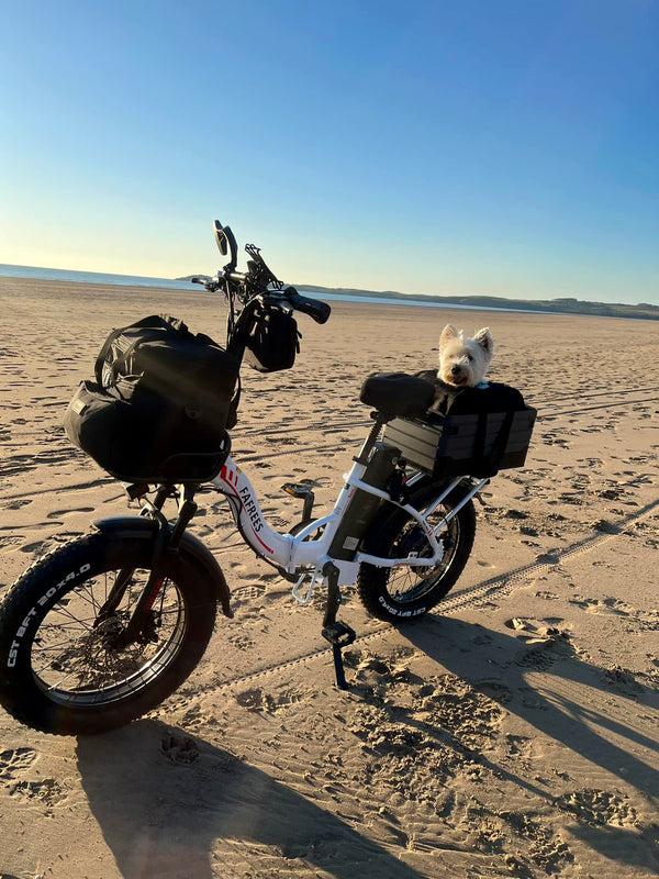 Immagine della galleria 9