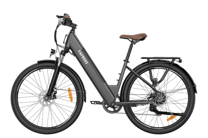 colore_Grigio metallizzato