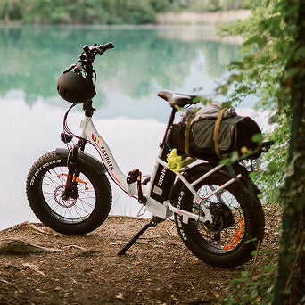 Immagine della galleria 2