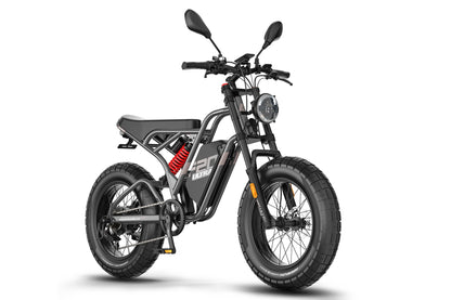 colore_Nero canna di fucile