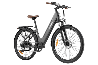 colore_Grigio metallizzato