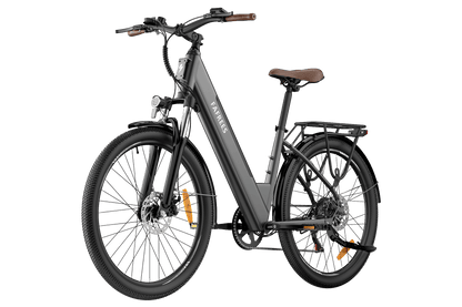 colore_Grigio metallizzato