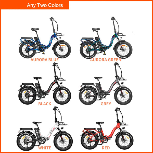 Ebike Bundle - Fafrees F20 MAX  (2 Pack)