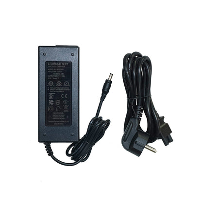 Caricabatterie per Ebike