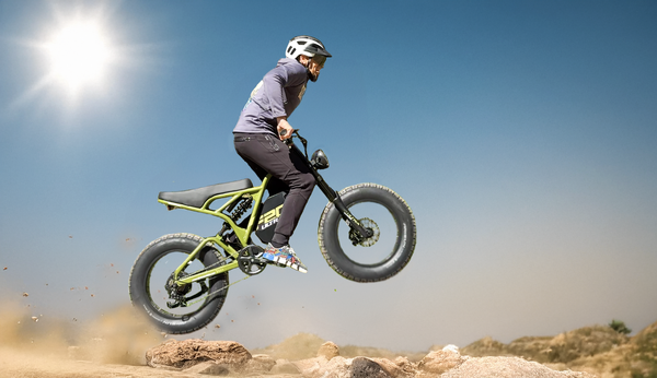 Immagine della galleria 10