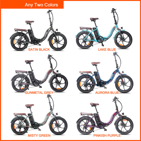 Ebike Bundle - Fafrees F20 Pro  (2 Pack) - fafreesebike